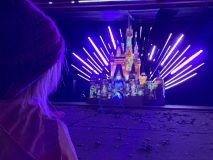 Christmas Lightshow