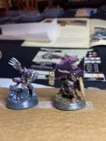Painted Miniatures