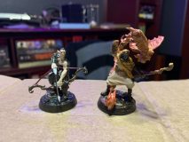 Painted Miniatures